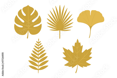 Set of five golden tropical and deciduous leaves isolated on white background