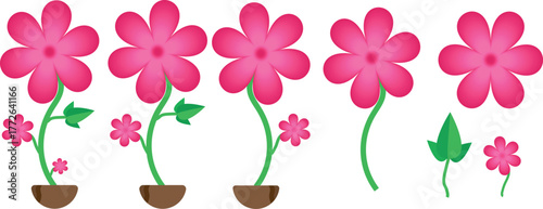 Pink flower vector set with green leaves and flower pot isolated on a white background