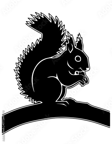 squirrel with a bushy tail