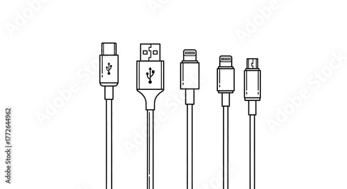 Set of modern usb charging cables with various connector types for devices vector