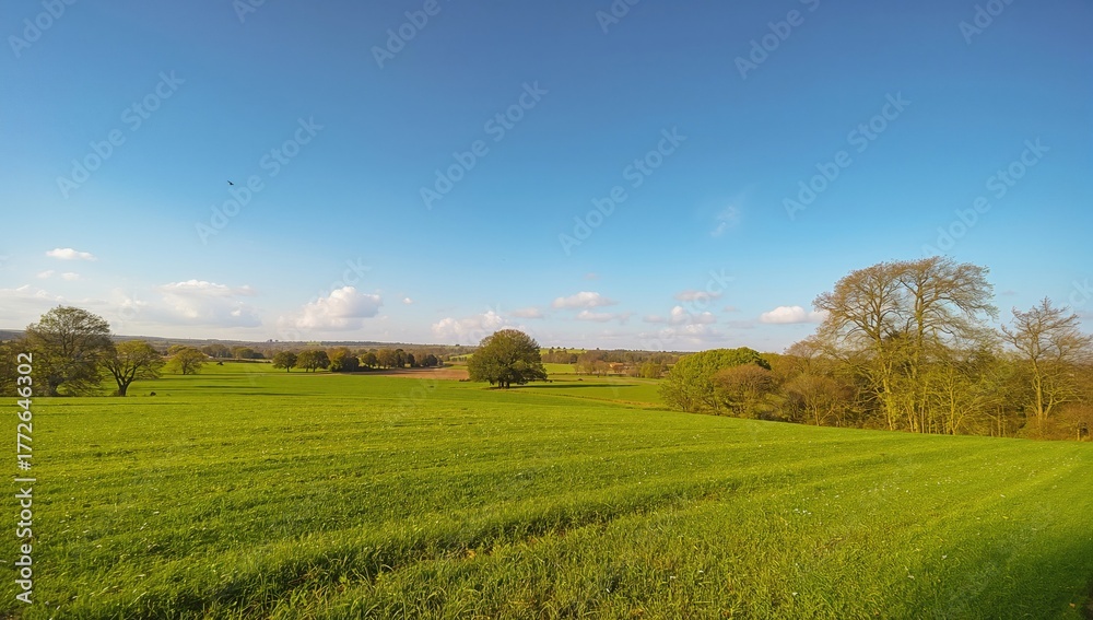 Obraz premium Countryside journey through lush green fields and open skies
