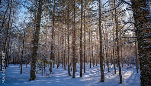 Wallpaper Mural A serene winter woodland covered in pristine snow, showcasing nature's pure and untouched elegance. Torontodigital.ca