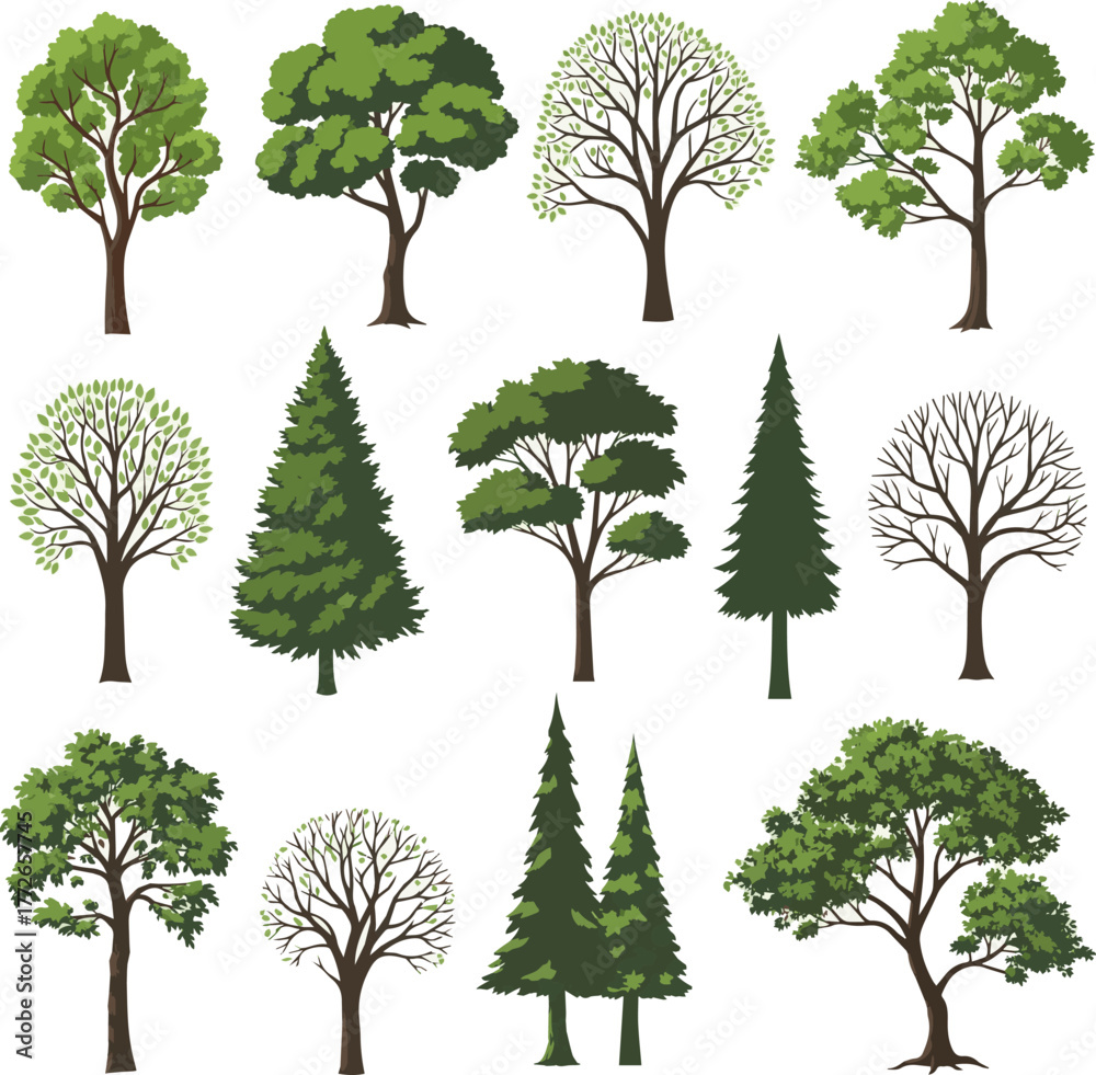Fototapeta premium Isolated a kinds of deferent tree vector art with white background..