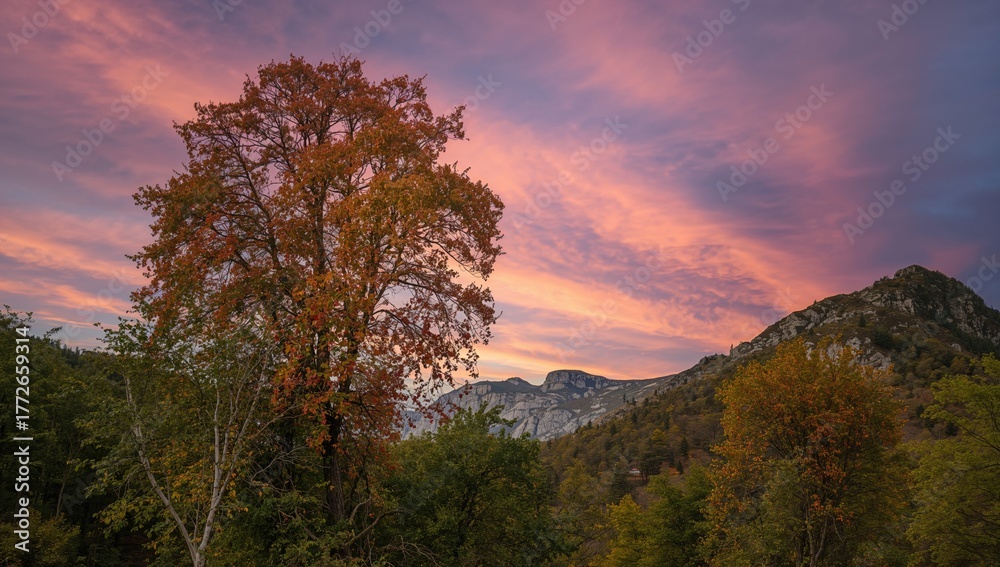 Fototapeta premium Fall Forecast