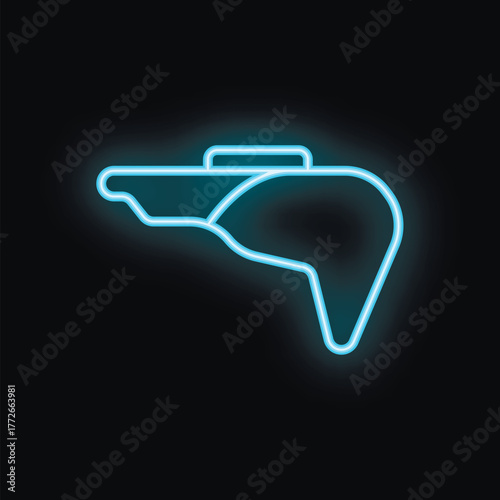 Blue neon sign illustrating liver on black background, concept for healthcare and internal organs