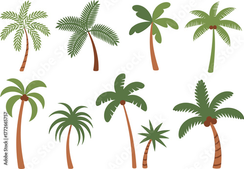 Tropical palm tree vector set, exotic island foliage illustration, coconut trees with curved trunks, green fronds, summer botanical clipart collection