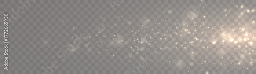 Glowing light effect with lots of glitter particles and stars. For Christmas and New Year design. Vector star cloud with dust.	