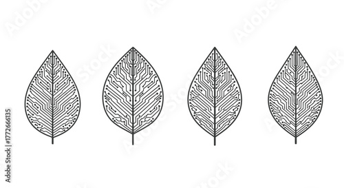 Hand drawn sketch of four identical stylized autumn leaves with detailed veins and outline vector