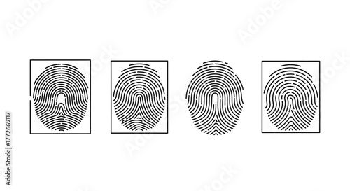 Four distinct fingerprint impressions showcase unique identification patterns and security concepts vector