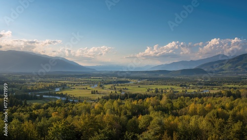 Vast green landscapes under the summer sun, showcasing seasonal change