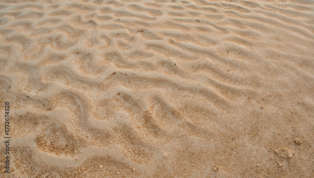 Fototapeta premium Fine grain sand with natural footprints, erosion risk
