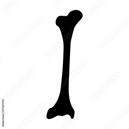 Isolated black silhouette of a femur, a human bone, on white background