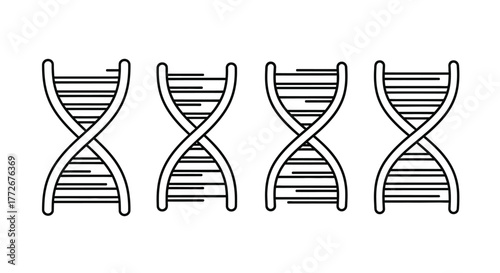 Four hand drawn dna double helix structures symbolizing genetics life science and biology research vector