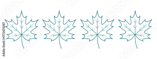 Four identical maple leaf vector illustrations for artistic and decorative designs vector