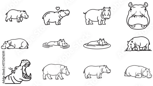 A collection of twelve black line art illustrations of Hippopotamuses in various poses and expressions.