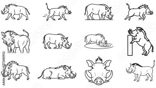 A collection of twelve black line art illustrations of Warthogs in various poses and actions.