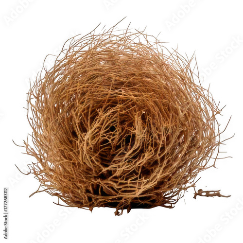  Desert tumbleweed isolated on white background.