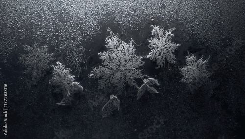 Frost pattern on glass surface, seasonal change