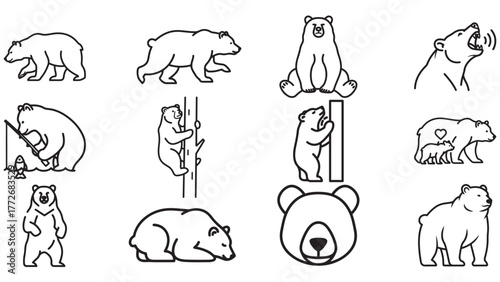 A collection of black line art icons showing Bears in various poses and activities like walking, fishing, and climbing.