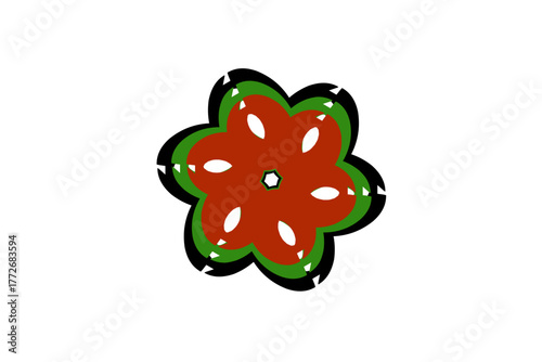 star fruit on a white background