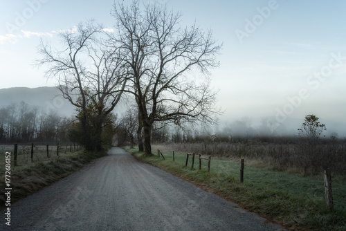 road in the morning fog