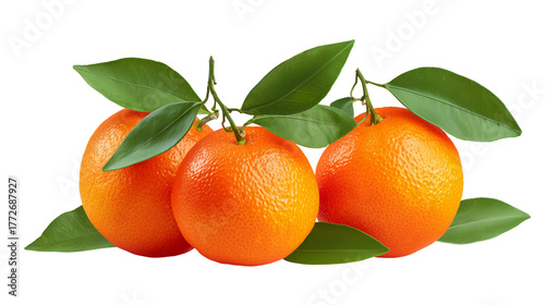 Three fresh tangerines isolated on transparent background