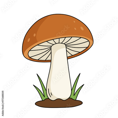 Colorful mushroom illustration with brown cap, white stem and grass base. Flat vector style suitable for forest, nature, culinary theme art, children’s books, and posters