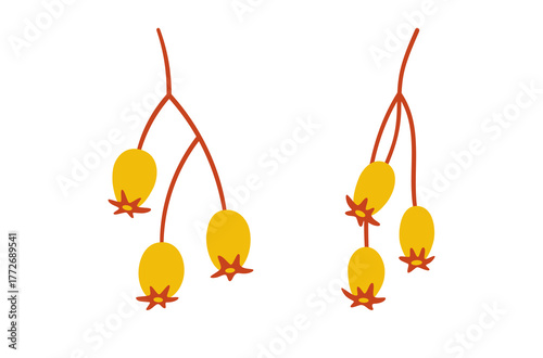 Set of seeds shrubs, yellow berries on twigs. Vector simple hand-drawn elements on white background for stickers, web design, and postcards