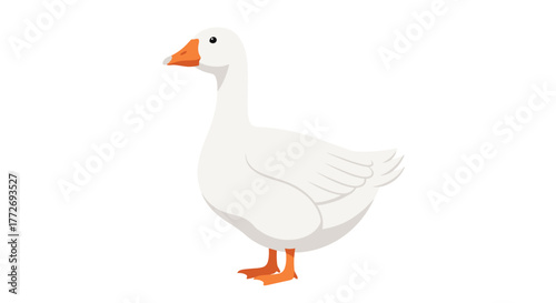 Illustration of a white goose standing tall with orange beak and feet for animal lovers and bird watchers