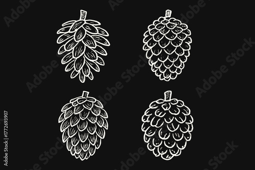Hand-drawn pine cones in sketch style on black background  