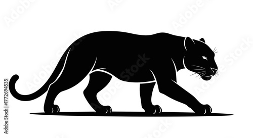 Black panther vector illustration of stalking wildcat for wildlife and jungle themed designs and artwork needs