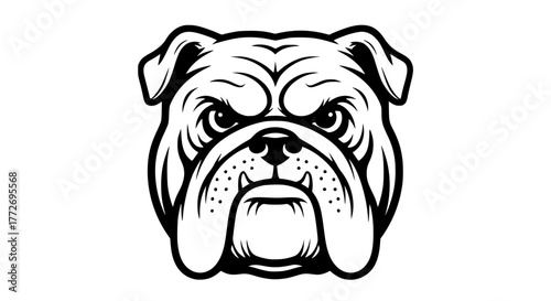Vintage style black and white vector of a bulldog face, bold lines and symmetry