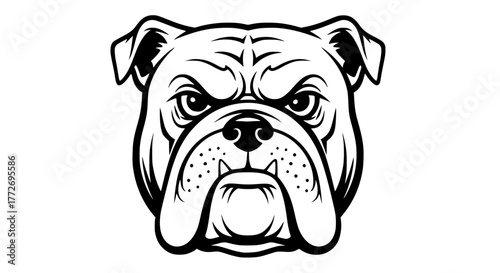 Vintage style black and white vector of a bulldog face, bold lines and symmetry