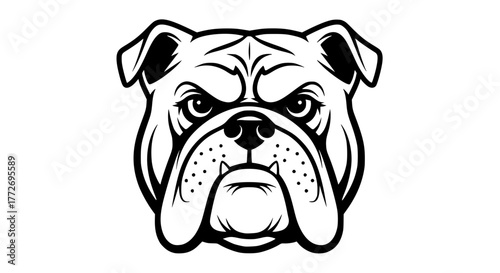 Vintage style black and white vector of a bulldog face, bold lines and symmetry