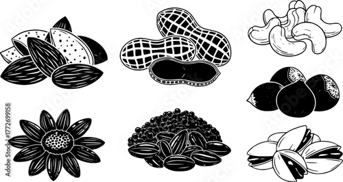 Cartoon nuts. Almond, peanut, cashew, hazelnut nuts, sunflower seed and pistachio, nut food isolated vector illustration icons set. Nuts heaps in shell on white. Organic healthy products for snack[