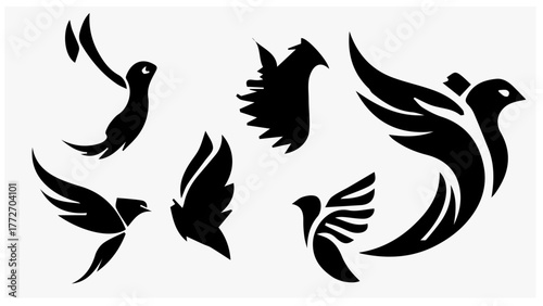set of bird vector 