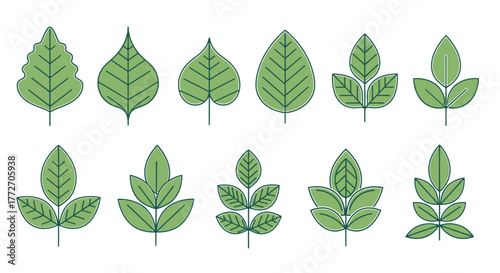 Collection of stylized green leaves on a white backdrop, showcasing various shapes and arrangements.