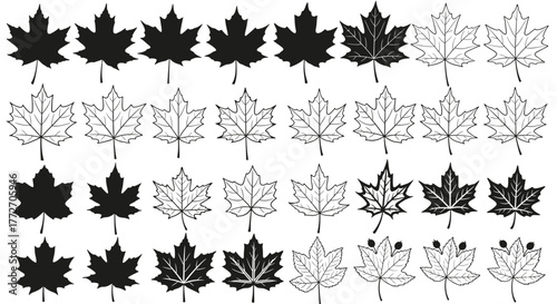 Rows of maple leaf icons in different styles, some with veins and some filled in black.