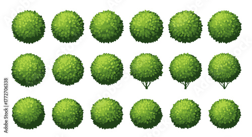 A collection of topiary trees arranged in rows, perfect for use in garden or landscape plans.