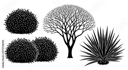 Monochrome depiction of various bushes, a tree, and a spiky plant, all rendered in a detailed,.