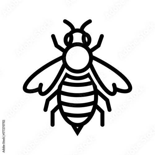 Stylized Line Art Illustration of a Honey Bee Insect.
