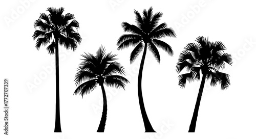 Silhouettes of four palm trees are arranged against a plain white surface, creating a simple.