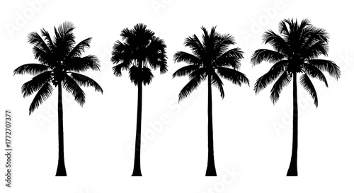 Four palm tree silhouettes stand tall against a white backdrop, evoking a sense of tropical paradise.