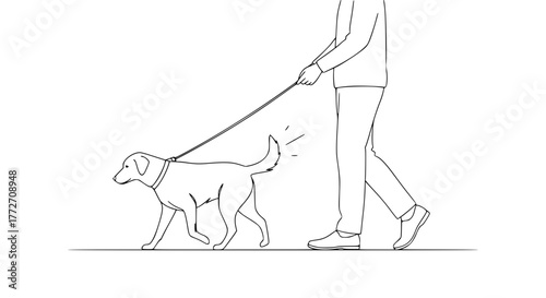 Line art vector of a dog walking on a leash beside its owner’s legs, monochrome, simple and elegant