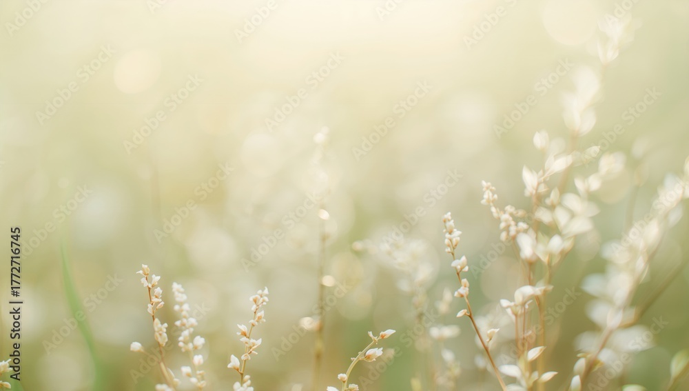 Fototapeta premium Blurred green bokeh background, ideal for layout design, seasonal change