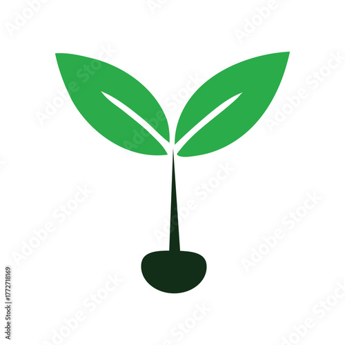 Green sprout growing from soil