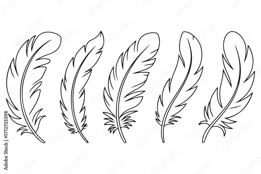 Obraz premium Continuous one line drawing of feather set outline illustration 