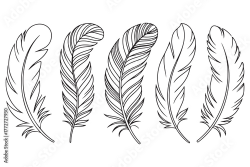 Continuous one line drawing of feather set outline illustration
