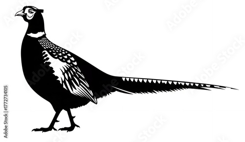 A stylized black and white pheasant outline with feather detail and long tail