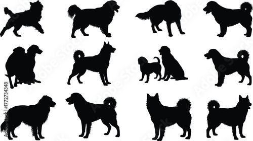 Collection of dog silhouettes, various dog breeds standing and sitting, black animal shapes for pet design, logo and vector illustration